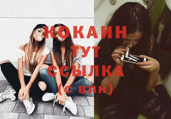 мяу мяу мука Баксан