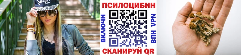 как найти закладки  Новая Усмань  Псилоцибиновые грибы мицелий 
